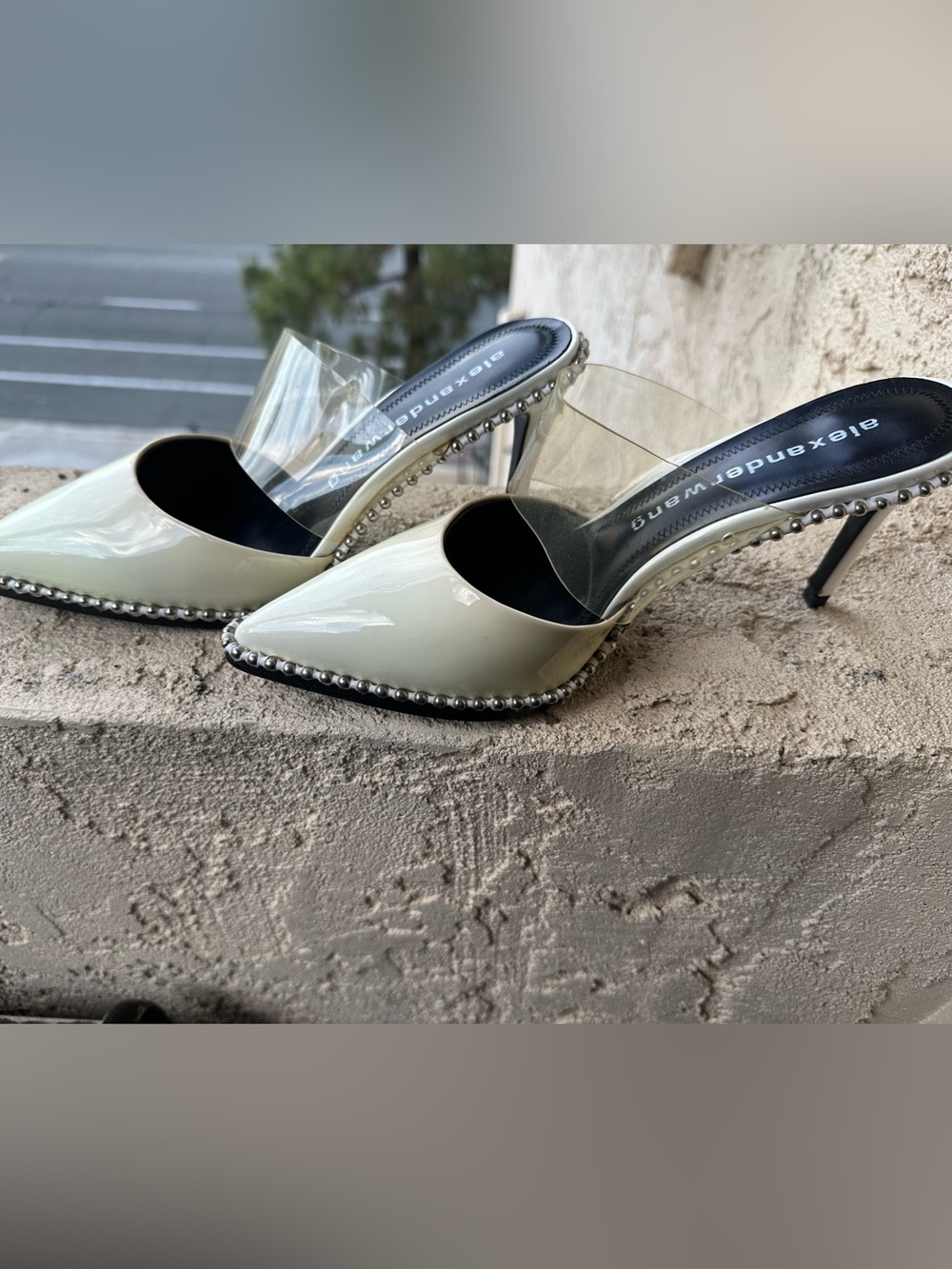 Alexander Wang Rinna